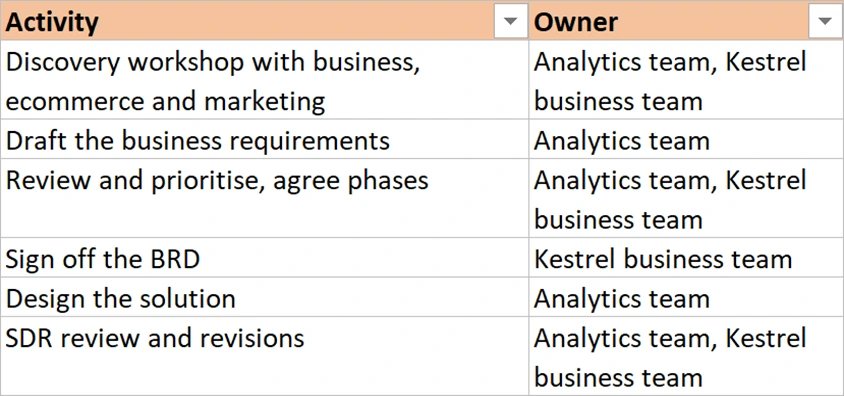 The Activity and Owner columns of the project plan, naming the analytics team and Kestrel teams.
